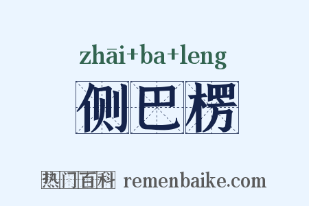 侧巴楞是什么意思的图片